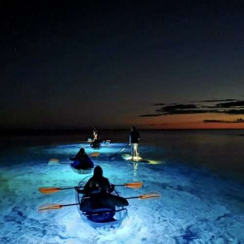Night Kayak Tours Malta